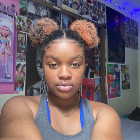 Meet your Posher, Life as sanai - Picture 1 of 1